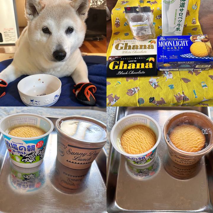 1cd11341 2534 471c b0c0 2e438057622b 1738218799984