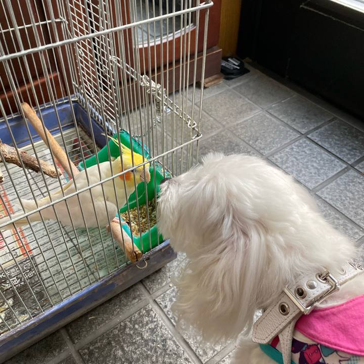 1cd11dcd cdaf 4a97 accf 3746fcd10358 1572069453455