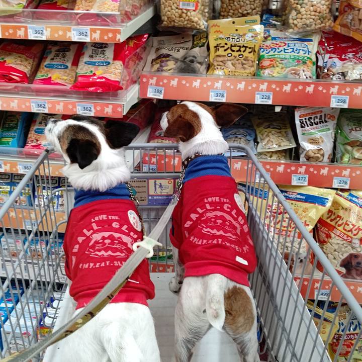 1cd15862 7089 421a 96a6 c325dabb91aa 1654951886164