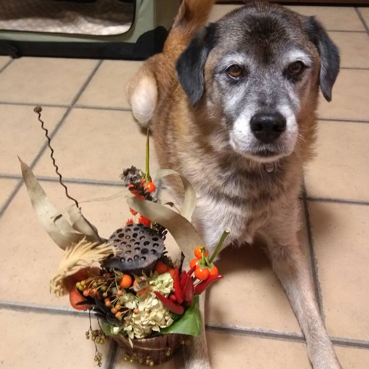 1cd18363 93df 4c3e af27 921adb0869c1 1570354578486