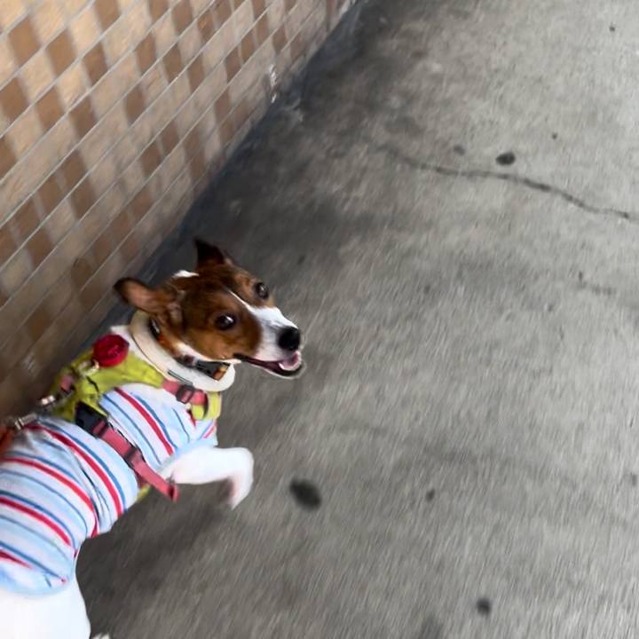 1cd18c89 01ab 4c46 96c3 d8c5148e85f5 1726144370271