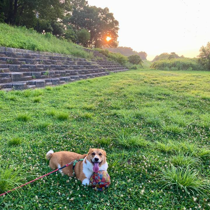 1cd1e85c cfd3 47d4 87b1 06270d0ad2f0 1752024197321