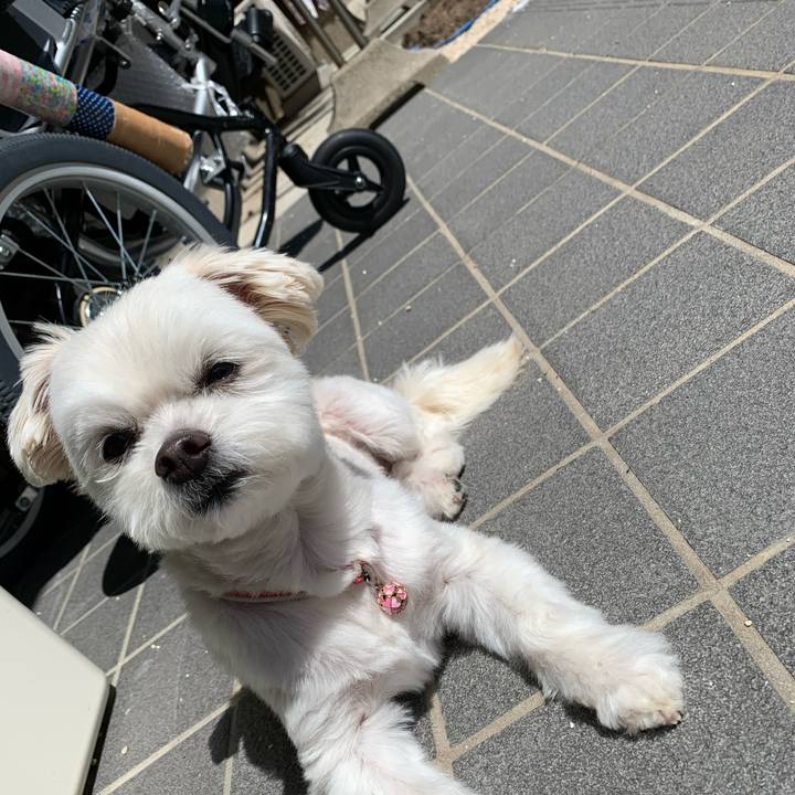 1cd263b6 2da1 491d 8596 1af08989bfad 1649144732255