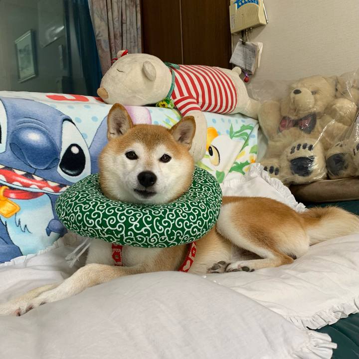 1cd2a2f3 72b6 4578 94a1 8f4fa1cc329a 1634206945261