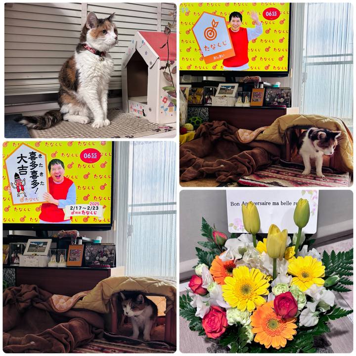 1cd2efd7 6807 441a 95e3 40eafe835782 1739745261766