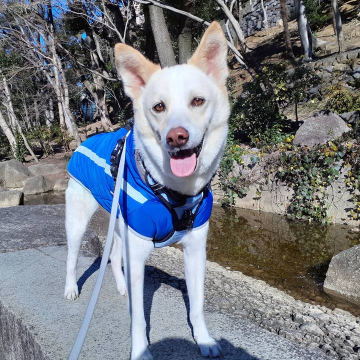 1cd30481 d0c7 46b8 be57 cf27e1e8f863 1645577846534