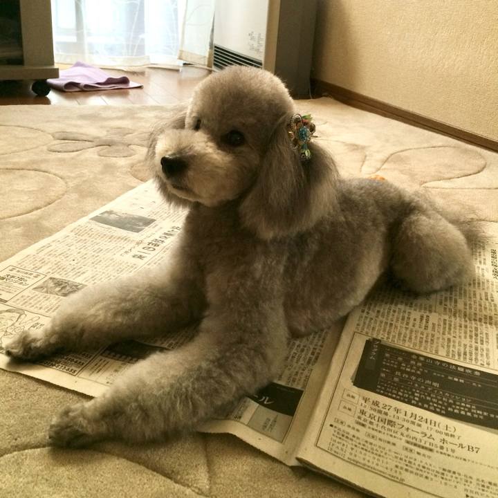 1cd33160 eb49 4f14 8100 e2ed1801a12c 1768836342898