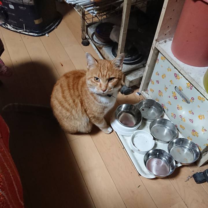 1cd351fc 4414 4c42 a539 220caef14bca 1606247092911