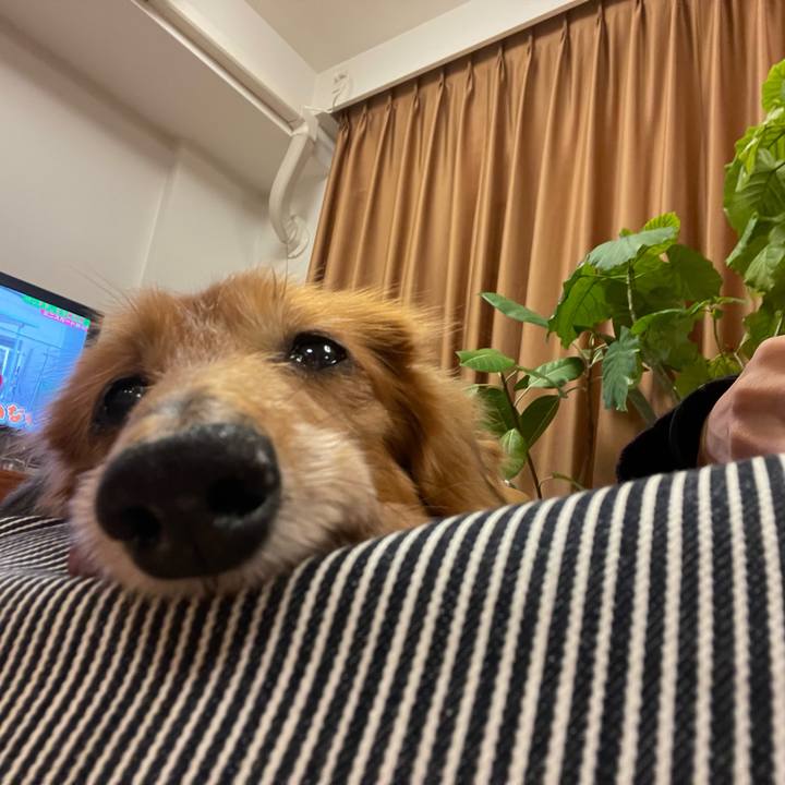 1cd38990 2c81 45ad bfde 3e3ff1cfd134 1640602144139