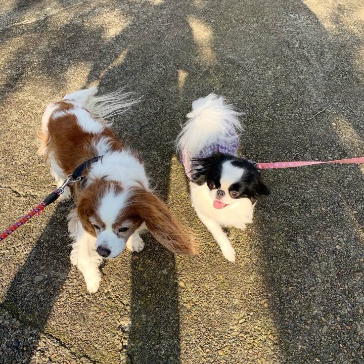 1cd39f37 e9f3 4def 8cbc aa27e6a9e193 1587021957354