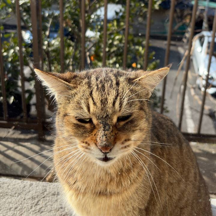 1cd3d8d5 a4fe 49d2 8389 8cd44f8574e2 1771719110849