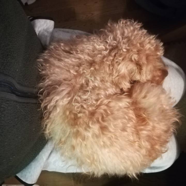 1cd40a22 c8b3 462c ae57 15275bcb281e 1548195889305