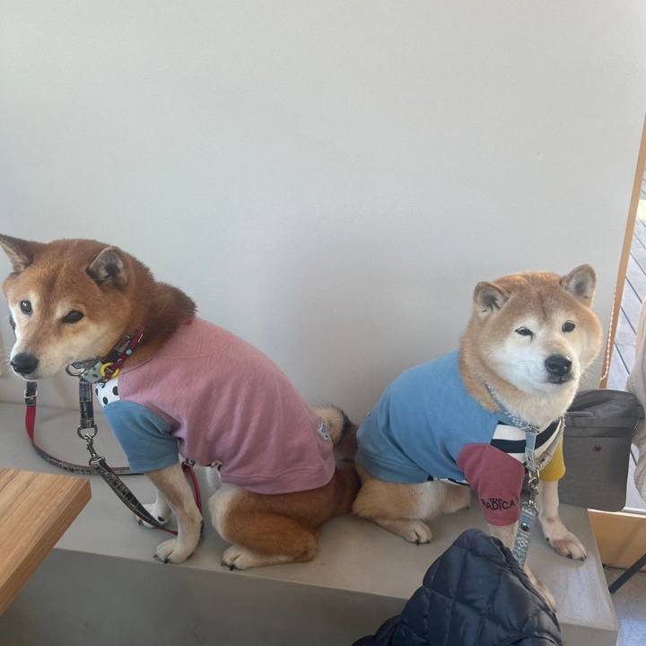 1cd43375 a944 4610 8178 729aebe4c6ab 1738661105458