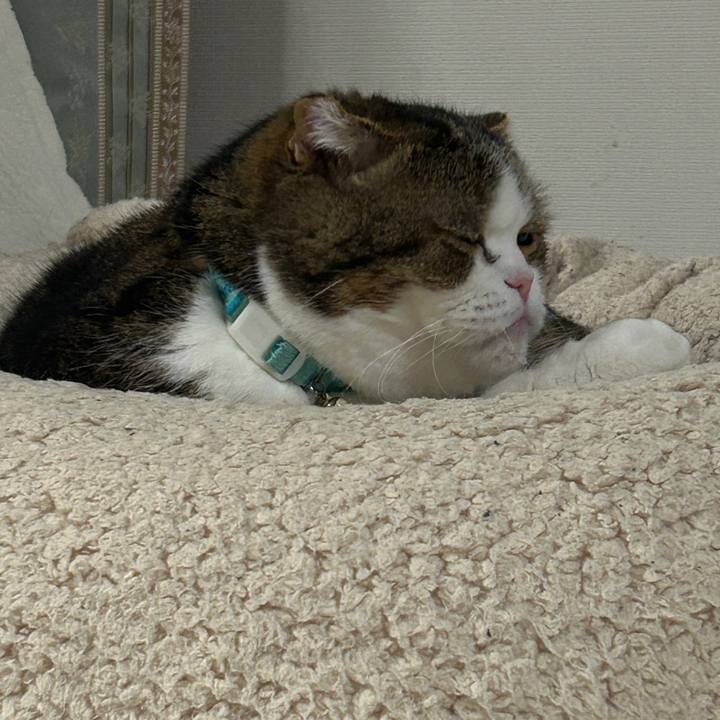 1cd47d40 263c 4a6d 8e01 496c934d0157 1772922326710