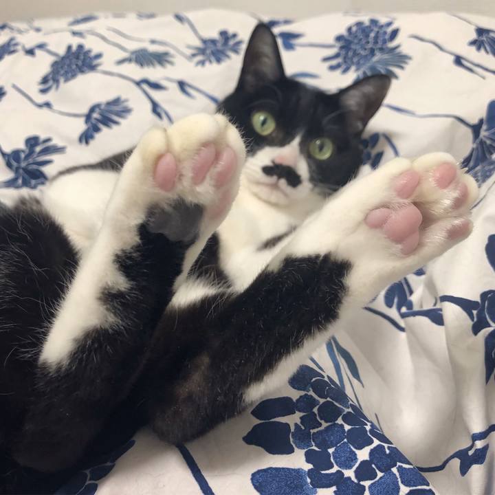 1cd47f31 fbad 4c17 b3a0 69425f50a775 1612276442561