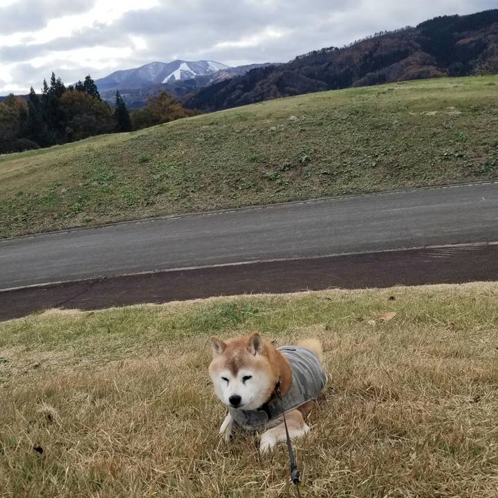 1cd4d734 92c5 455e a1b5 83e0514b152e 1732163576454