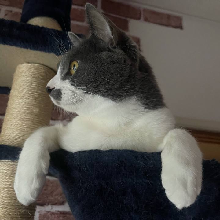 1cd4f1f5 6320 44d7 a8c9 b200853acdb0 1646121357240