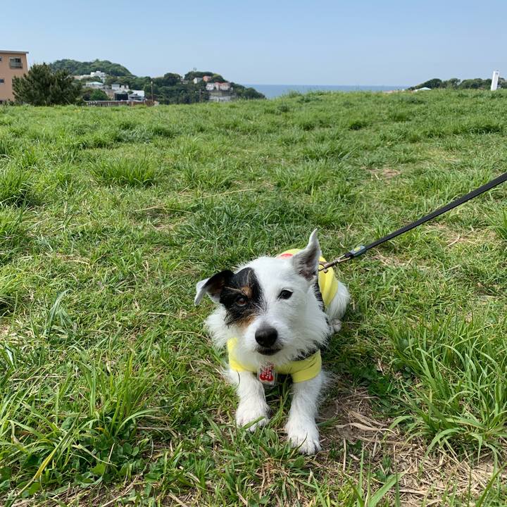 1cd51731 937c 4276 9ae5 f0b72980d6c8 1682387439984