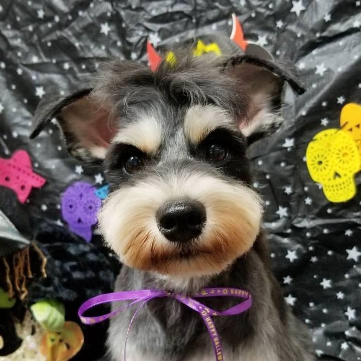 1cd52137 c6bc 494f 9dc2 b056b0704fac 1603157170329