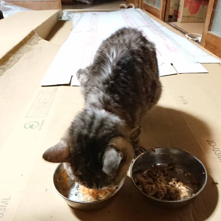 1cd52dc2 d5b4 4e81 9b08 c1c784f3e77c 1597491433658