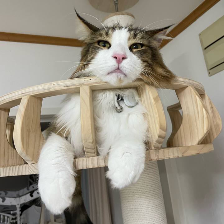 1cd531ac 8c12 4fa4 b0c4 24451ae53982 1663789748920