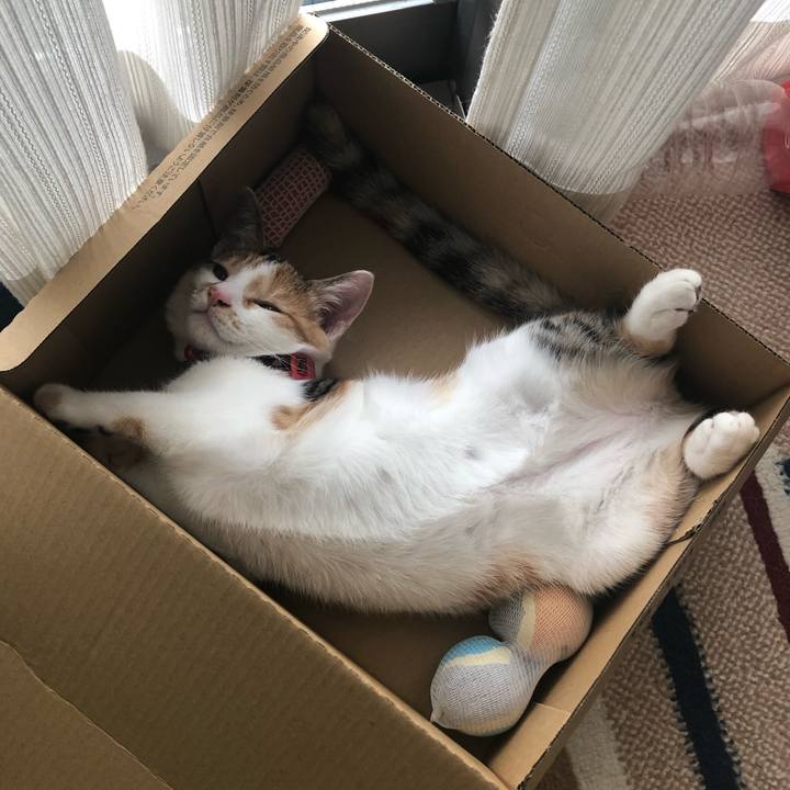 1cd53970 58d9 4424 a923 9d2ab1812d54 1568435289109