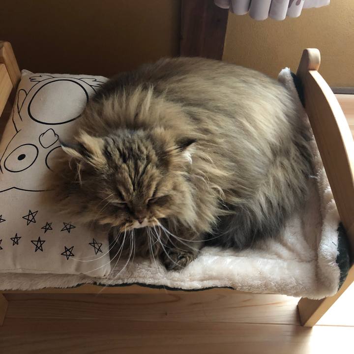 1cd53aec 298b 48b9 8d4a 6fe124614c06 1585622561460