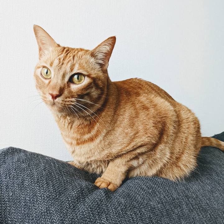 1cd590b2 723c 4b97 b44d 8328152c2631 1647819311206