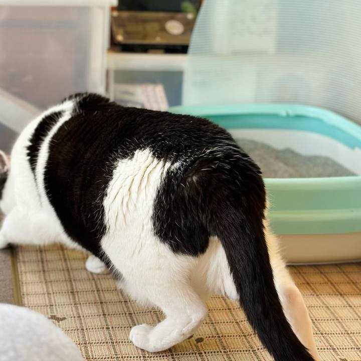 1cd5a432 7d23 474f 8cfd 0a1d88c02d16 1673230921624