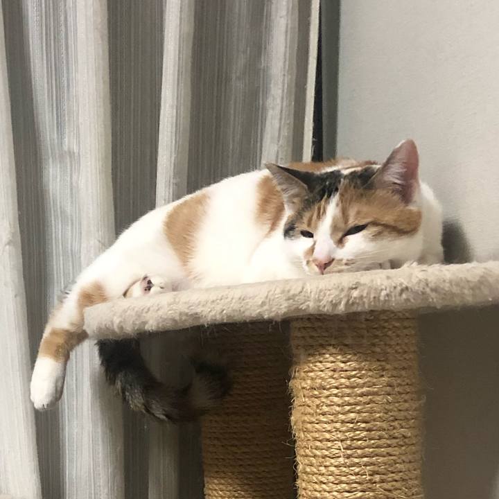 1cd5e550 dfc6 4dcc 884f be5d5def9426 1580820012660