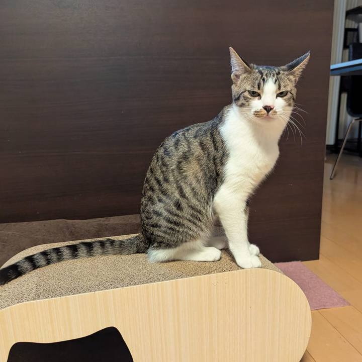 1cd60cd9 f6af 4c41 9a1f 2395c902c448 1735541291439