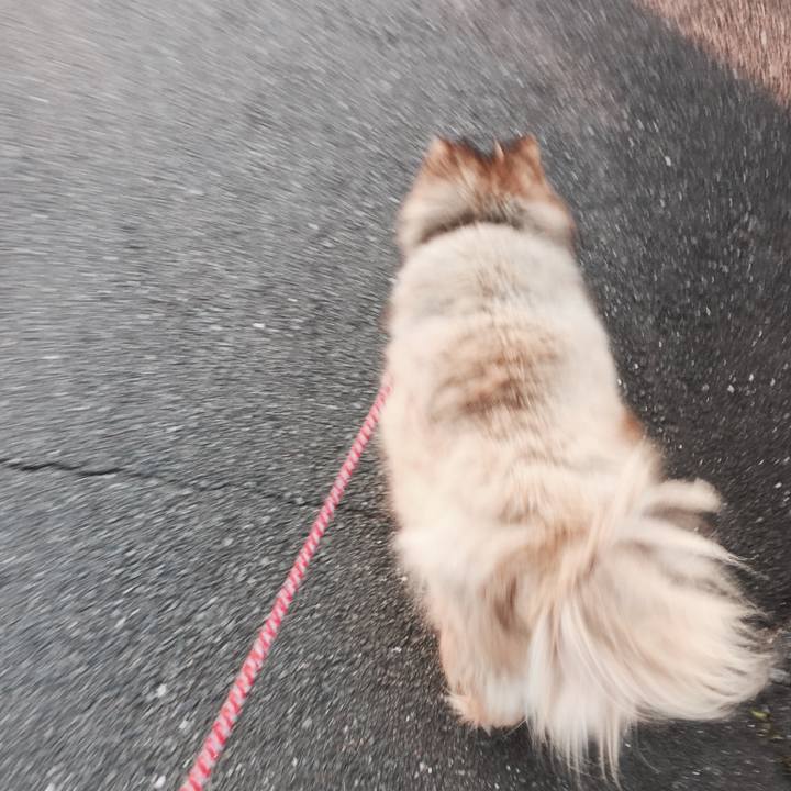 1cd6184a 498a 4bc8 8137 bbb898dc5c97 1628141665627