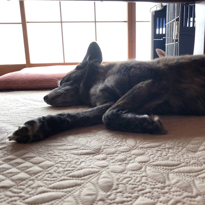 1cd61b3a 177c 4efe b6fe 24a50c16f2e5 1599039428087