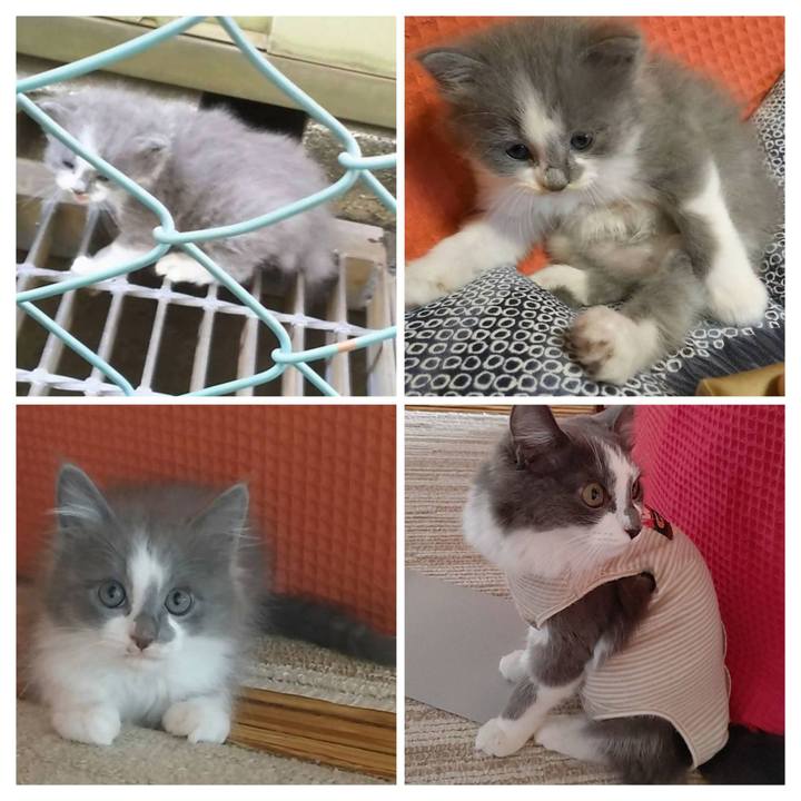 1cd621d4 16d3 4695 be59 2817b6e9176a 1682885284309