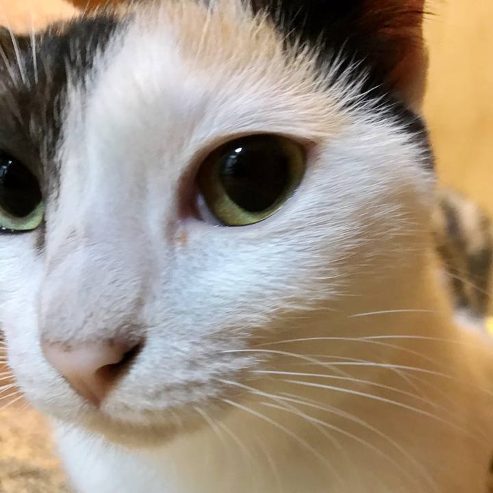 1cd67a03 8145 461e 8cde 04afd388ab97 1508162505889