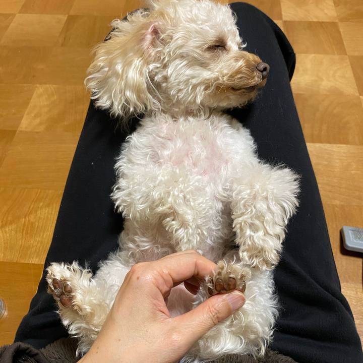 1cd6812d c2c4 4351 9258 971dfa1805af 1610021868880