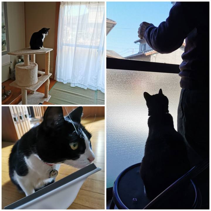 1cd6c836 c97c 4299 a153 f8e690d3fa4b 1667449665400