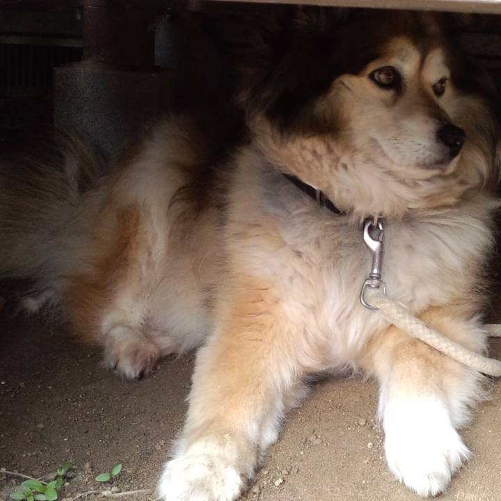 1cd6d234 7b07 469a 80b8 4fdcb537e3b9 1554969205582