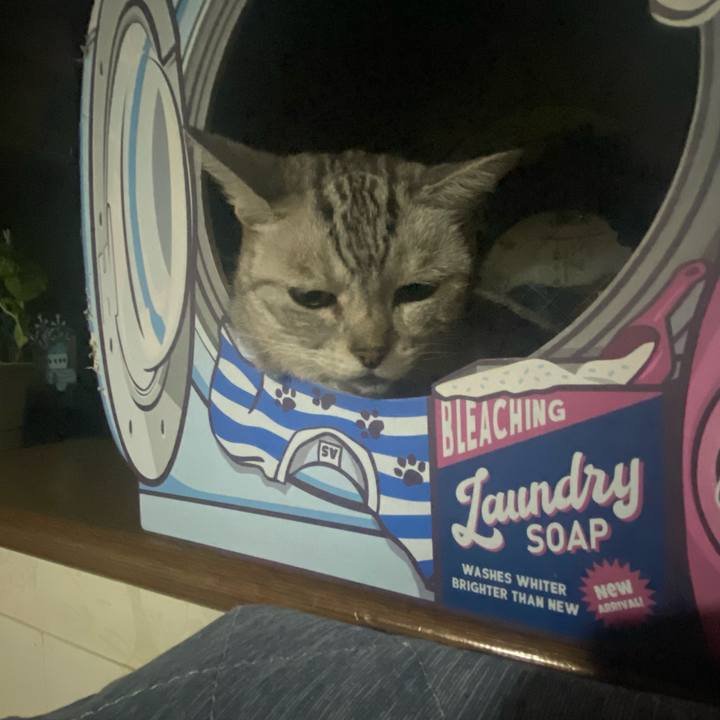 1cd72423 e8af 4f43 8727 aa183d4a497c 1725378035514