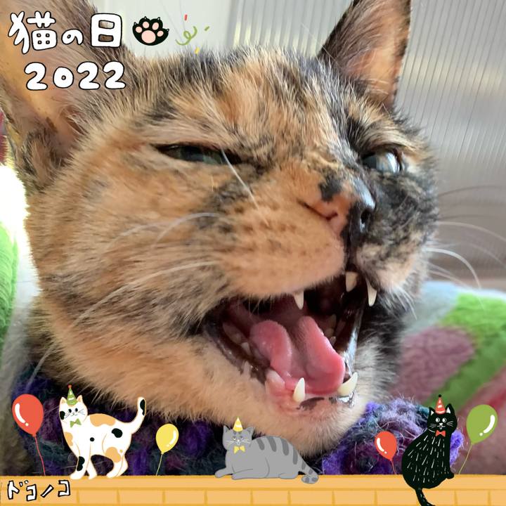 1cd739c6 d810 4e6b ab88 b87070edf398 1645490205221