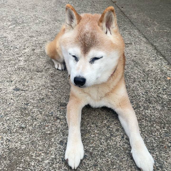 1cd750b8 48b2 4367 9313 82f6e3b87ed0 1760766051402