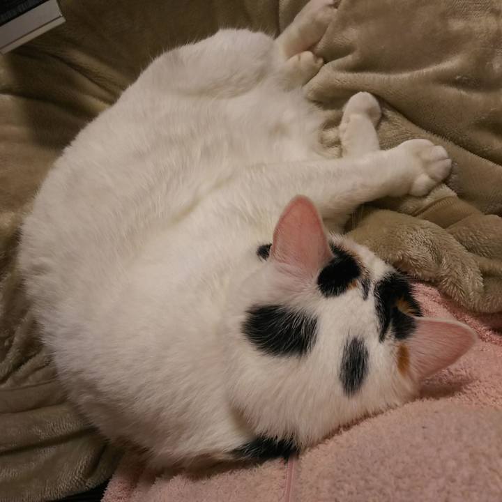 1cd77b2b 6d84 455a a96f 9136fc41be17 1572096717472