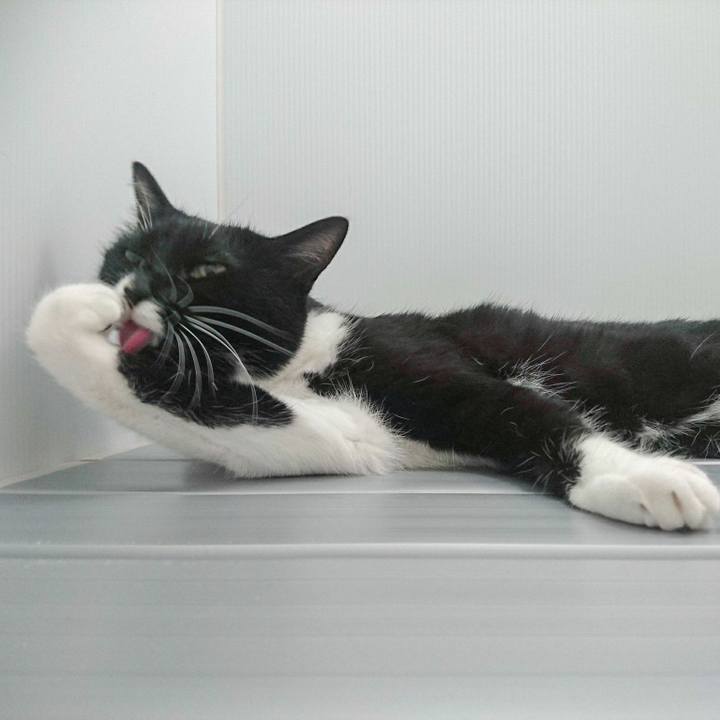 1cd78eee 7e83 4439 9f3d 0ab2f9fce1cd 1529147894452