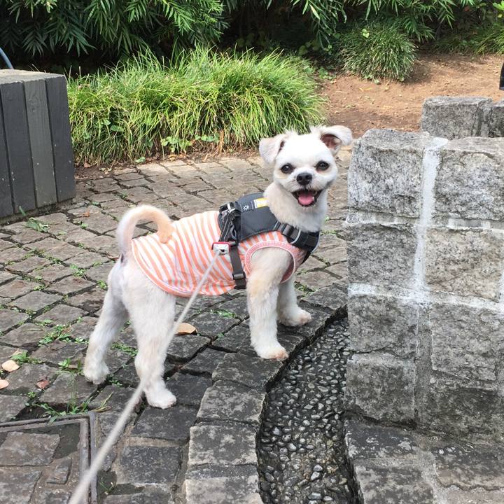 1cd792e4 f48a 4019 b991 b682a21b6b10 1567299026342