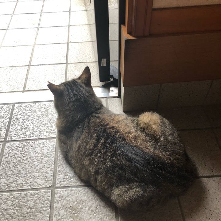 1cd7b3bb dd64 4e1c 9ad6 9b3f8b2bd23b 1530846703451