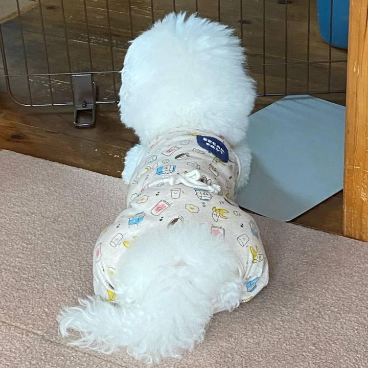 1cd80972 3744 45c9 9e44 025a85851f44 1622285511908