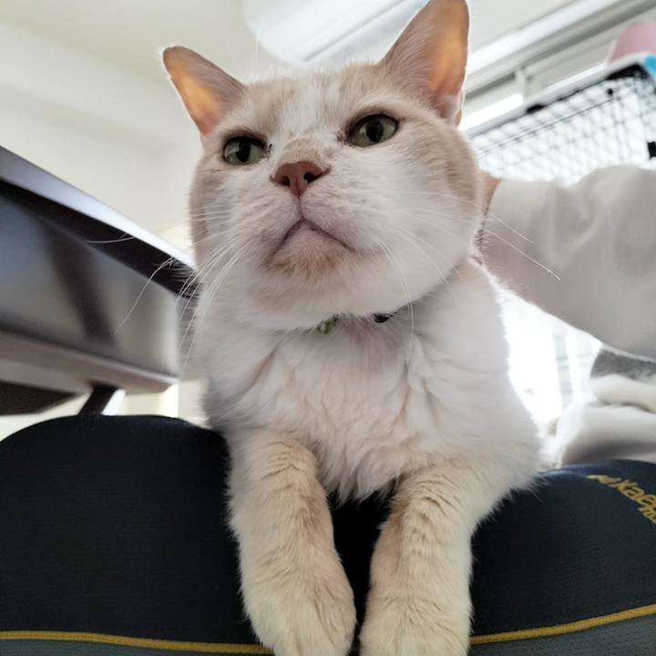 1cd82cfa 4e86 4a36 9ab1 96132d62bb8d 1714362871892