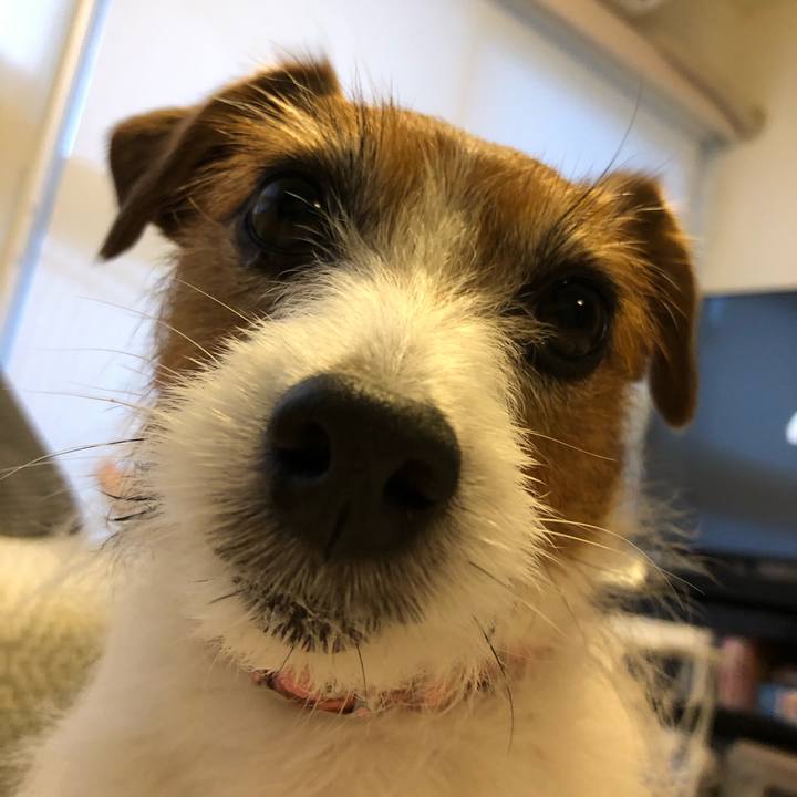 1cd87093 83c3 47b7 b223 7fed5e5d2e4e 1617530097780