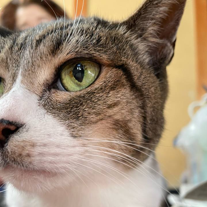 1cd8a54b 5a1b 4f46 ae11 0ad0b65b1efe 1640051752640