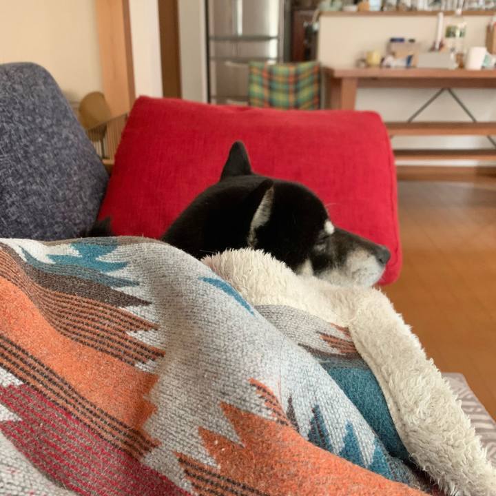 1cd8cfdc 0a7a 46f3 abf8 1faafda75bbd 1648016672125